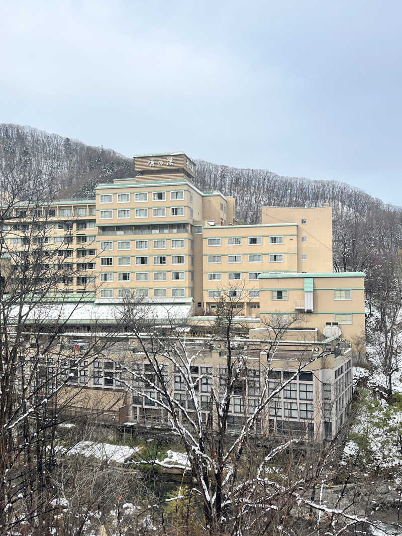 mitttさんの定山渓 鹿の湯のサ活写真