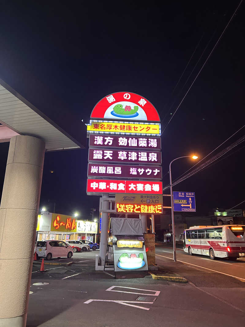 デンチュウさんの湯の泉 東名厚木健康センターのサ活写真