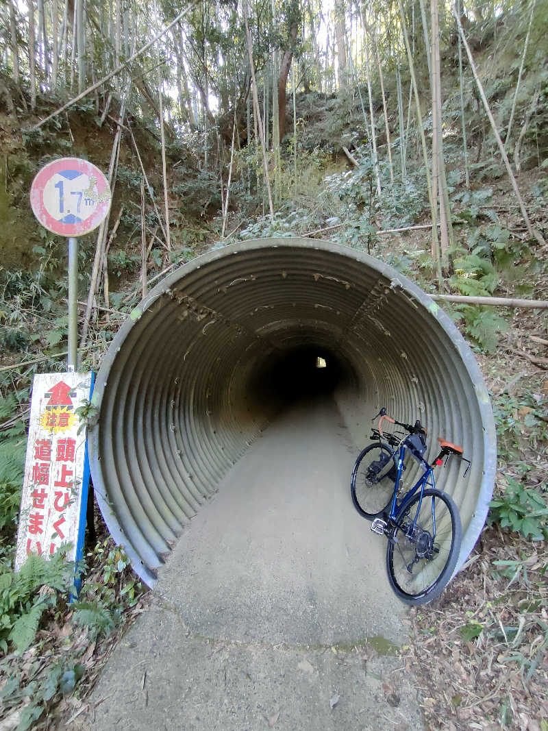 湘南産じょなさんさんの島田蓬莱の湯のサ活写真