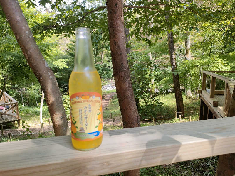 湘南産じょなさん（熱波師コニシ）さんのモダン湯治 おんりーゆーのサ活写真