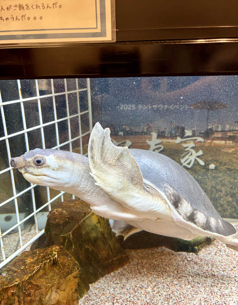 クロオさんの松本湯のサ活写真