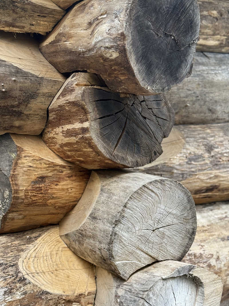 shoootaさんのKanzaki Sanga Saunaのサ活写真