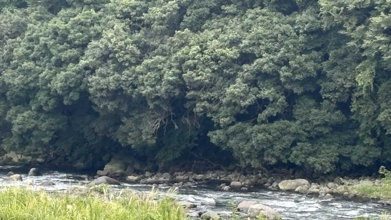 戦国さんの山賊サウナのサ活写真