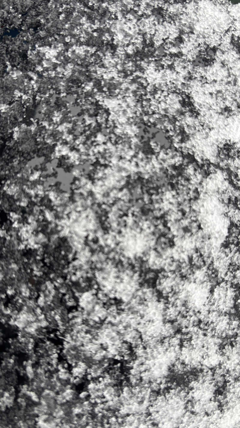 戦国さんの山賊サウナのサ活写真