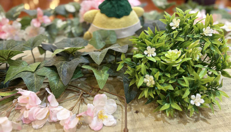 戦国さんのととのいの郷 秦野湯花楽のサ活写真