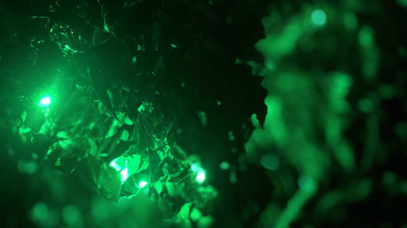 戦国さんの山賊サウナのサ活写真