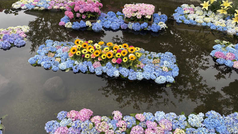 戦国さんの山賊サウナのサ活写真