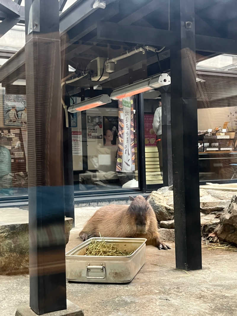 ころたさんの石狩天然温泉 番屋の湯のサ活写真