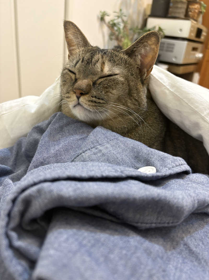 S213–1972さんの新岐阜サウナのサ活写真