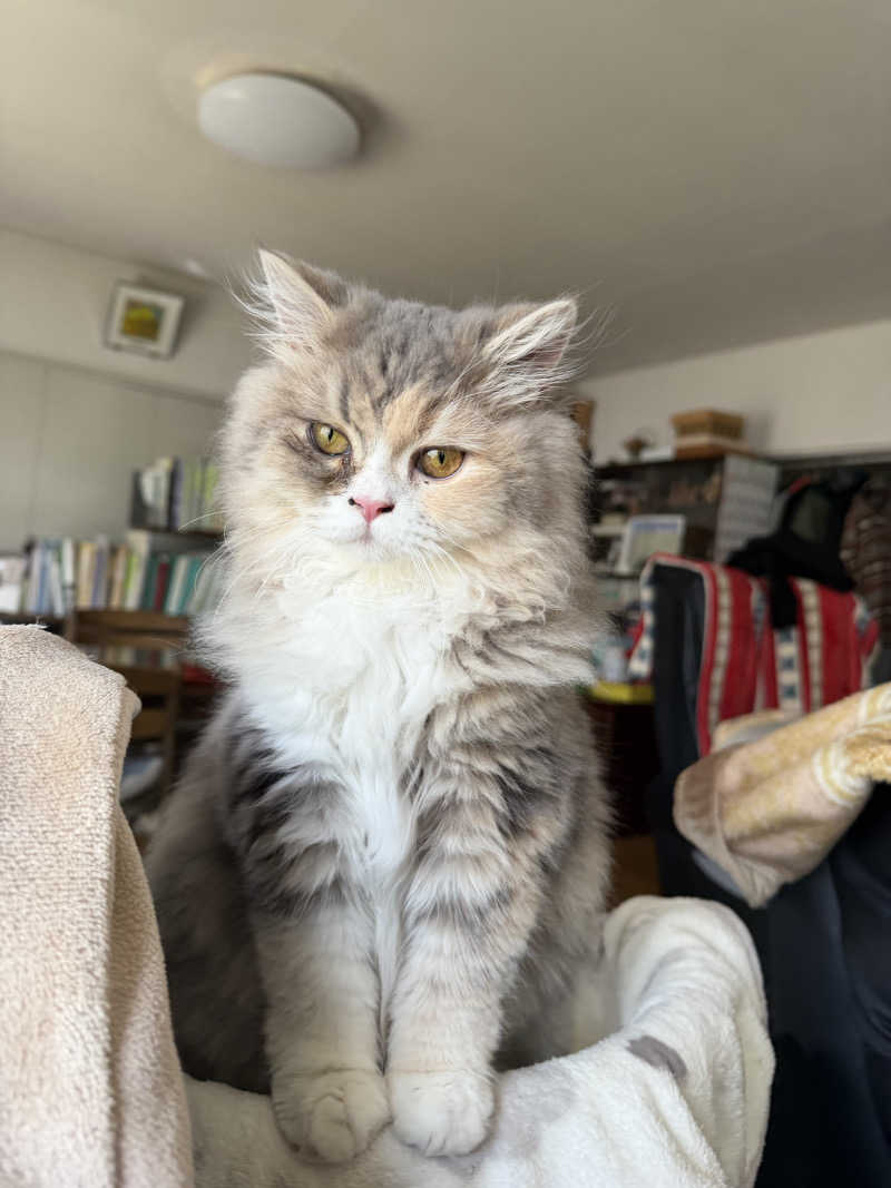 S213–1972さんの大垣天然温泉 湯の城のサ活写真