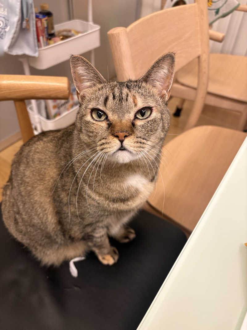 S213–1972さんの里山の湯のサ活写真