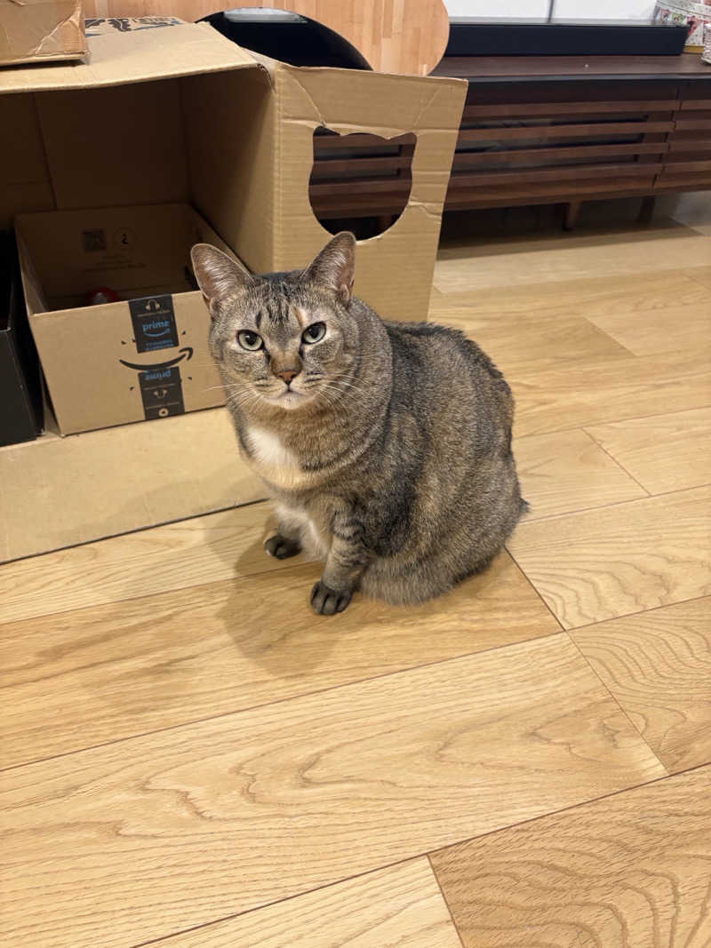 S213–1972さんのSAUNA RESORT 天光の湯のサ活写真