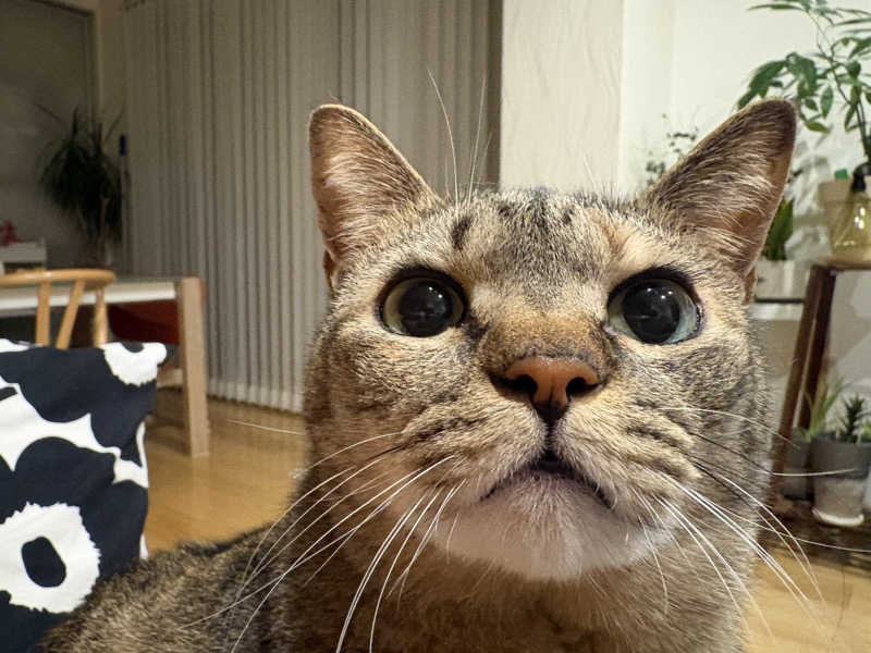 S213–1972さんの湯の華アイランドのサ活写真