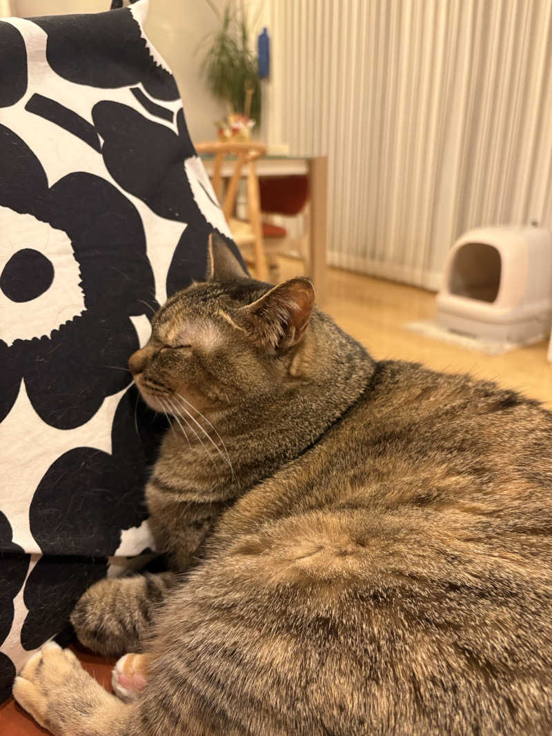 S213–1972さんの天空SPA HILLS 竜泉寺の湯 名古屋守山本店のサ活写真