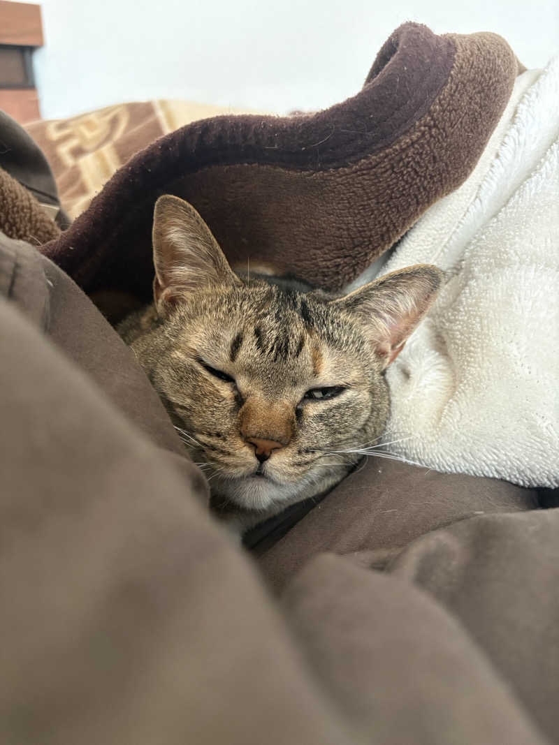 S213–1972さんのキャナルリゾートのサ活写真