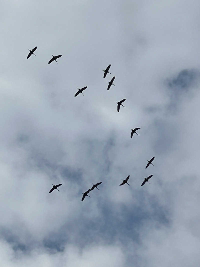 サ織さんの天然温泉ぬくもりの湯のサ活写真