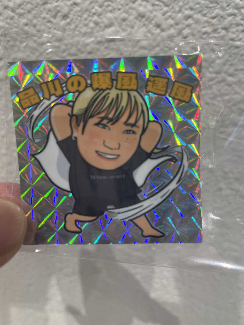 やまちゃんさんの泊まれるサウナ屋さん 品川サウナのサ活写真