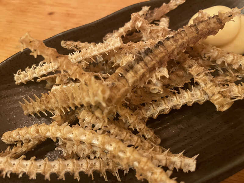 やまちゃんさんの泊まれるサウナ屋さん 品川サウナのサ活写真