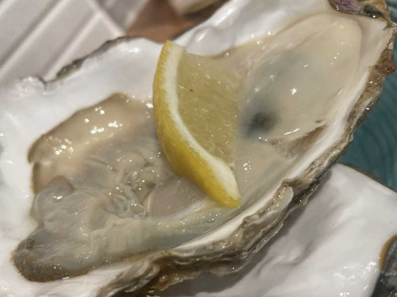 やまちゃんさんの泊まれるサウナ屋さん 品川サウナのサ活写真