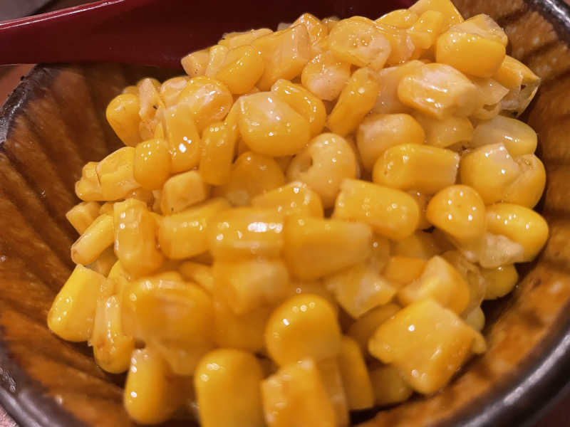 やまちゃんさんの泊まれるサウナ屋さん 品川サウナのサ活写真