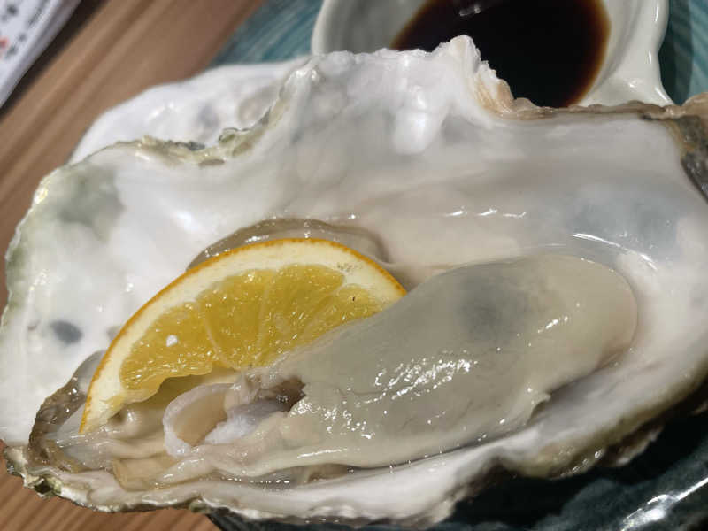 やまちゃんさんの泊まれるサウナ屋さん 品川サウナのサ活写真