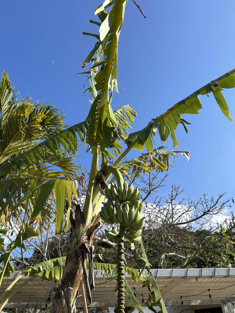 エレバさんのサ郷kakeRuのサ活写真