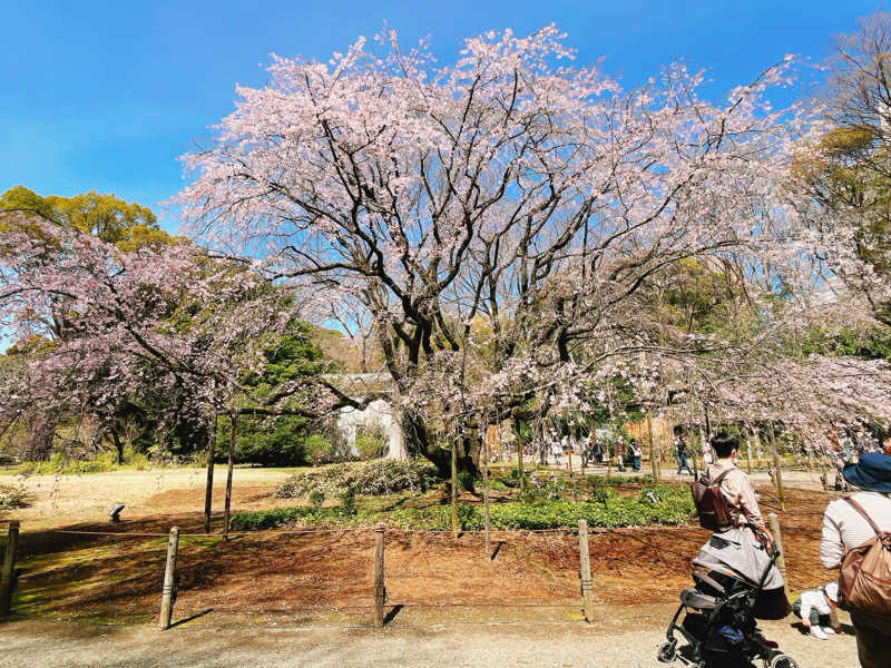 ウナMさんのカプセル&サウナ ロスコのサ活写真