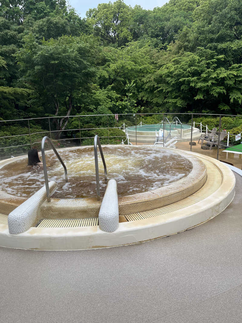 ウナMさんの豊島園 庭の湯のサ活写真