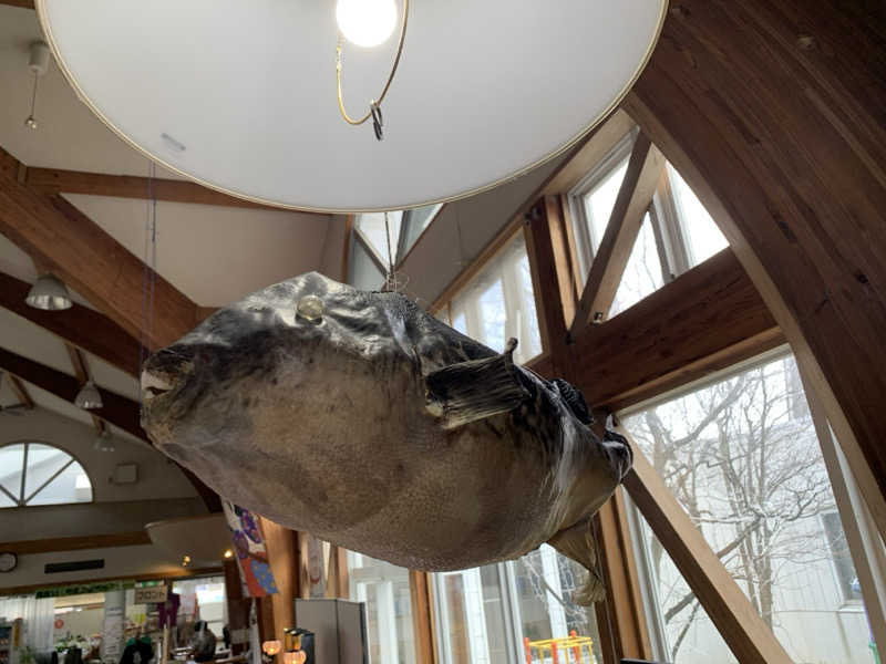 マチャンさんの長沼温泉 ぽっぽの湯のサ活写真