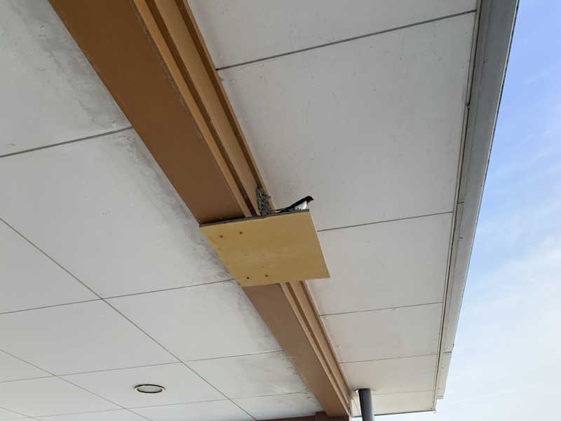 マチャンさんの長沼温泉 ぽっぽの湯のサ活写真