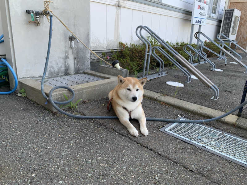 マチャンさんの長沼温泉 ぽっぽの湯のサ活写真