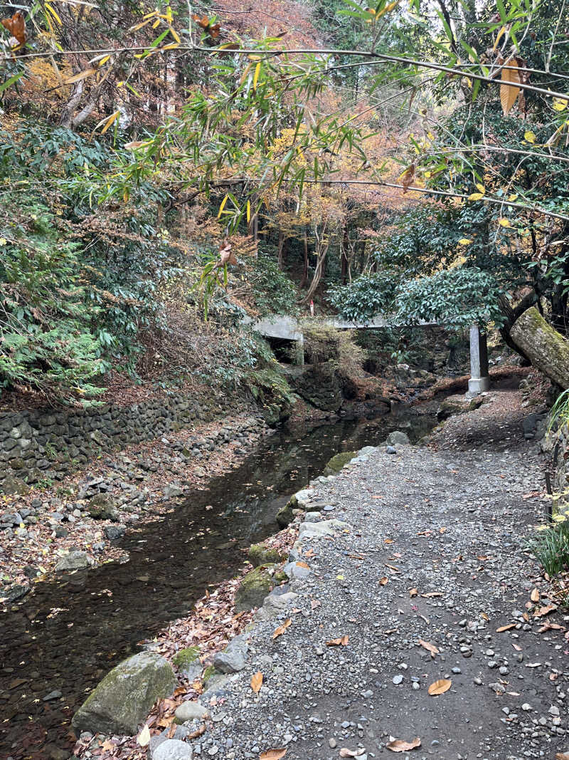 金宮さんの深澤渓 自然人村のサ活写真