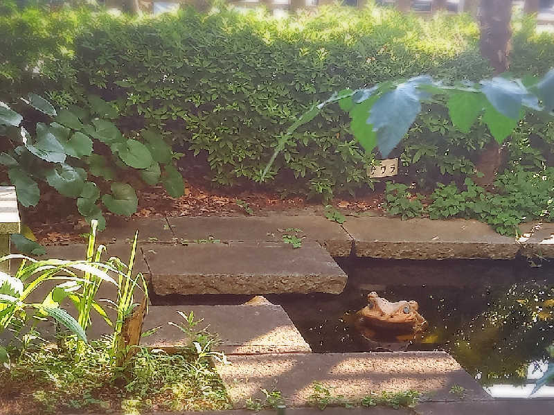 マッコウクラジさんの天然温泉 真名井の湯 大井店のサ活写真