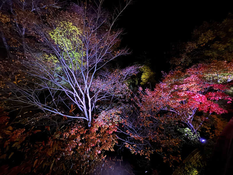 みかさんの秋保グランドホテルのサ活写真