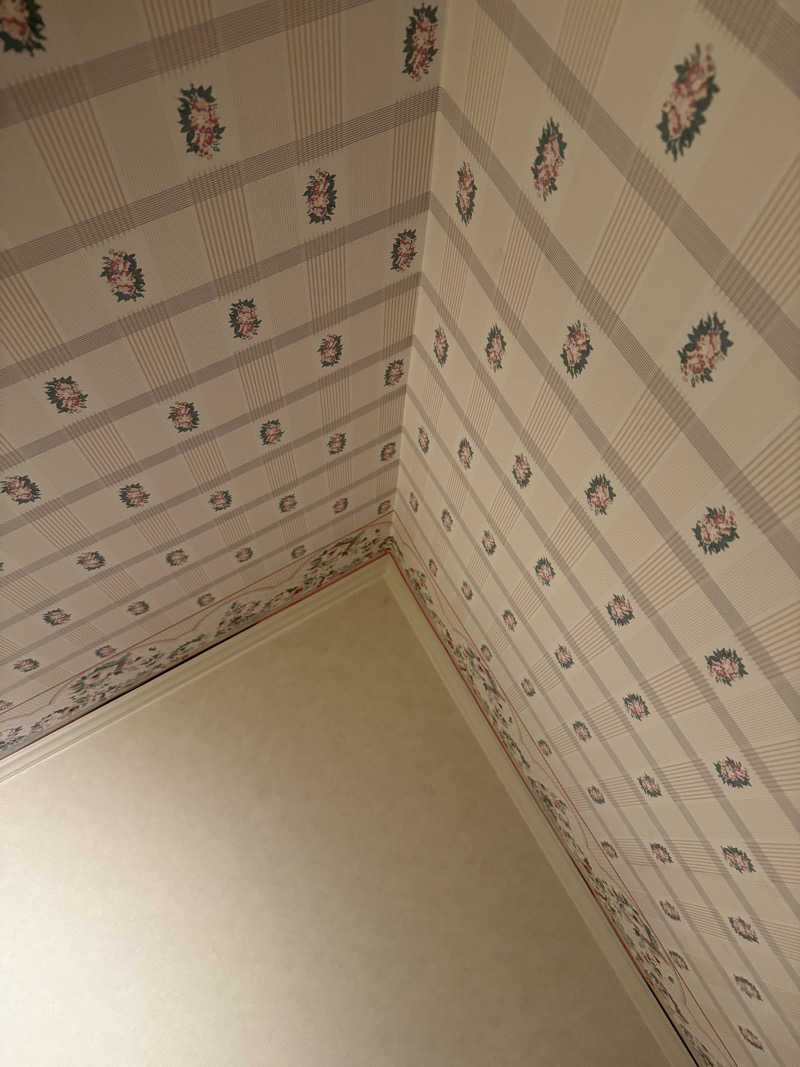 ホノルルピザさんのホテルマウント富士のサ活写真