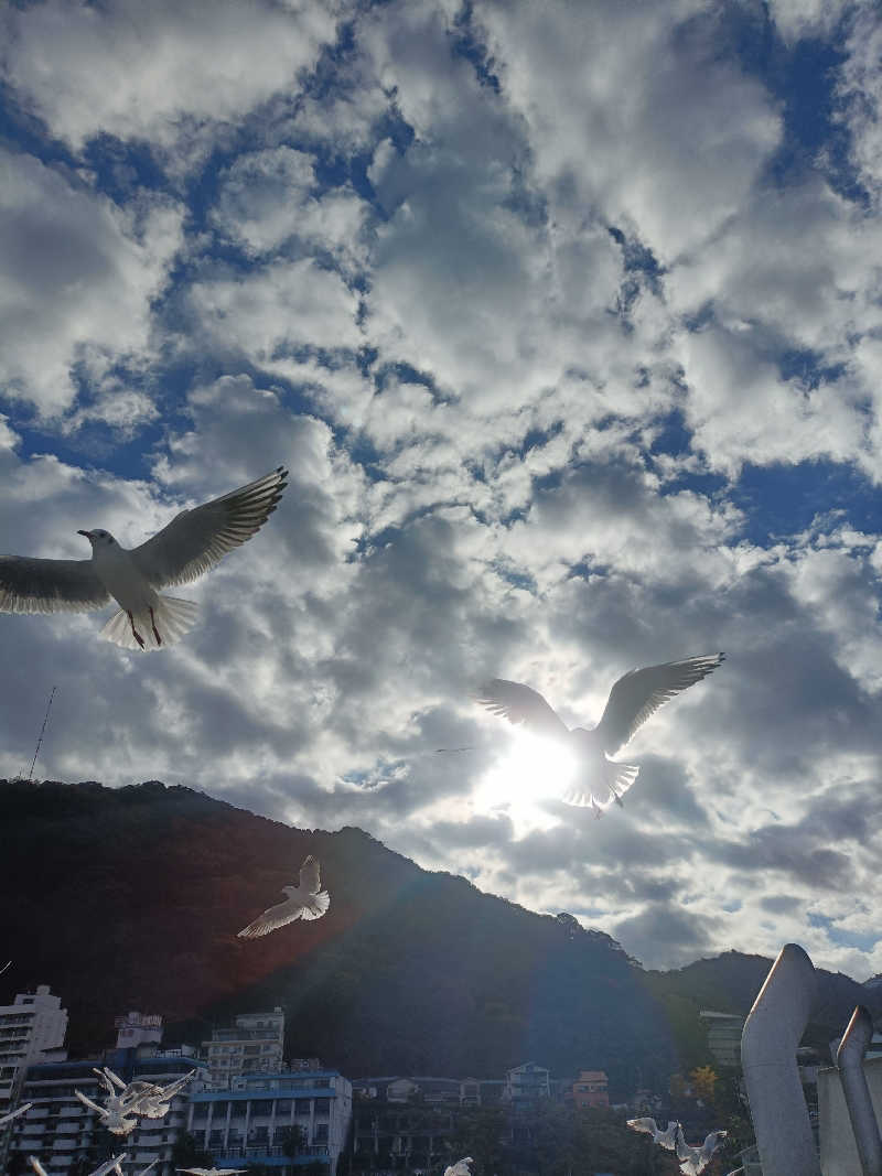 yo-su.kさんのエクシブ初島クラブのサ活写真