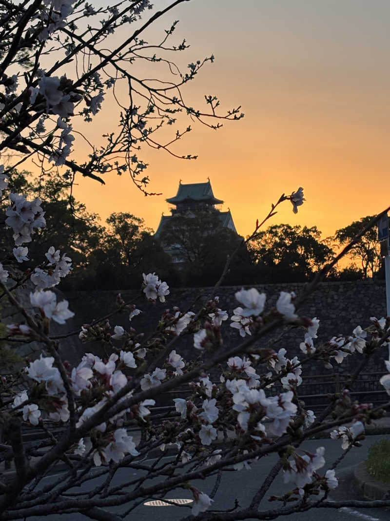 マイケルロングさんのユートピア白玉温泉のサ活写真