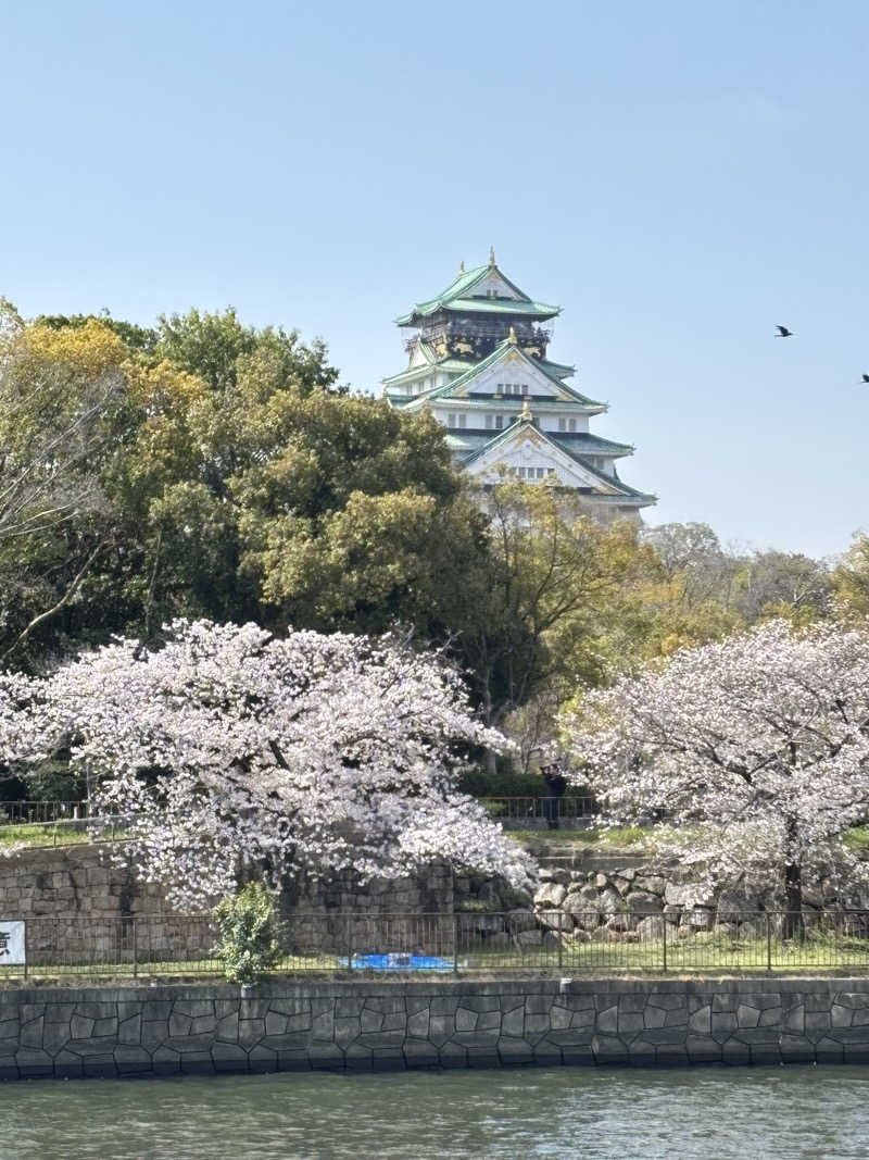 マイケルロングさんのユートピア白玉温泉のサ活写真