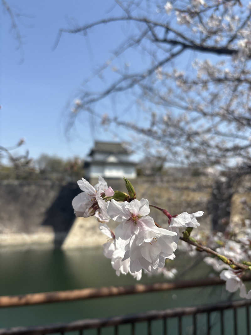 マイケルロングさんのユートピア白玉温泉のサ活写真