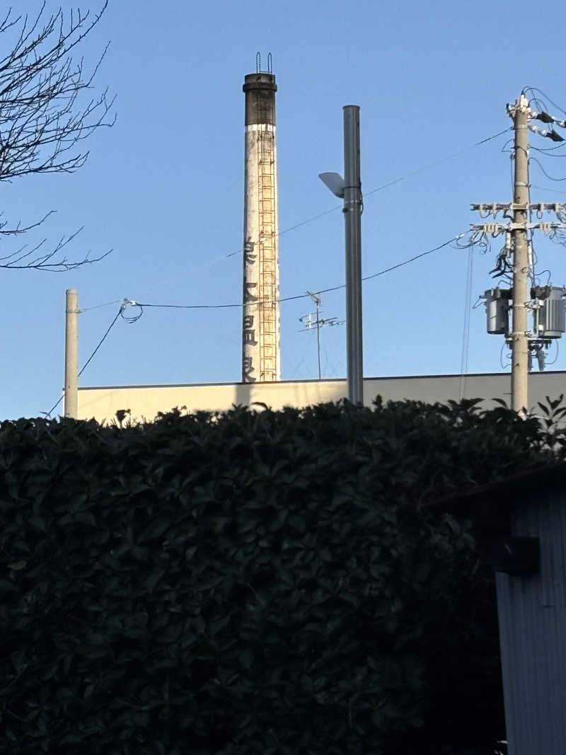 マイケルロングさんの巣本温泉のサ活写真