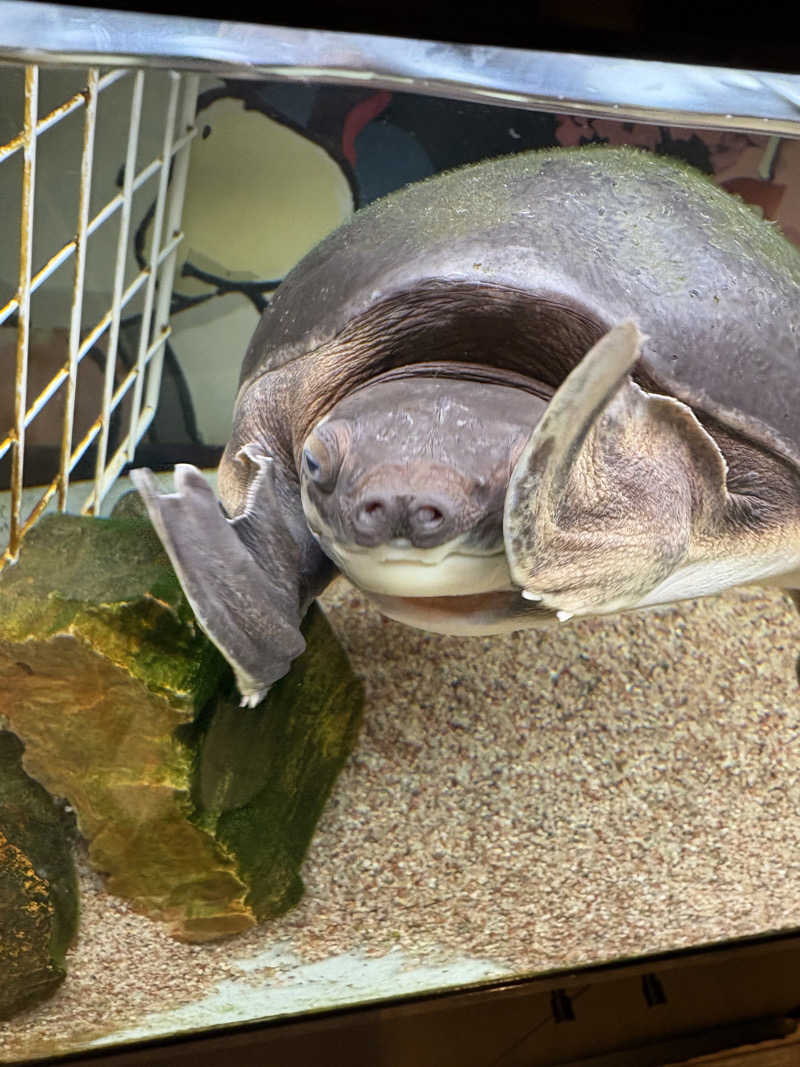 いけだですさんの松本湯のサ活写真