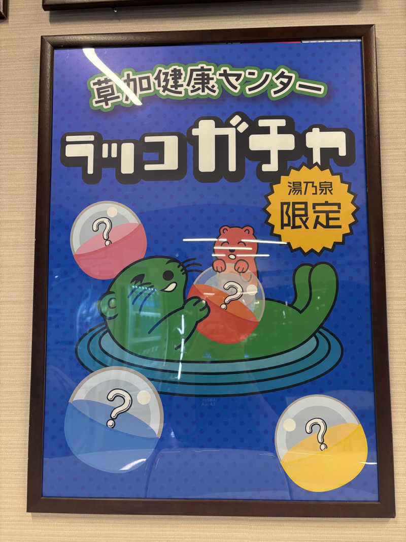いけだですさんの湯乃泉 草加健康センターのサ活写真