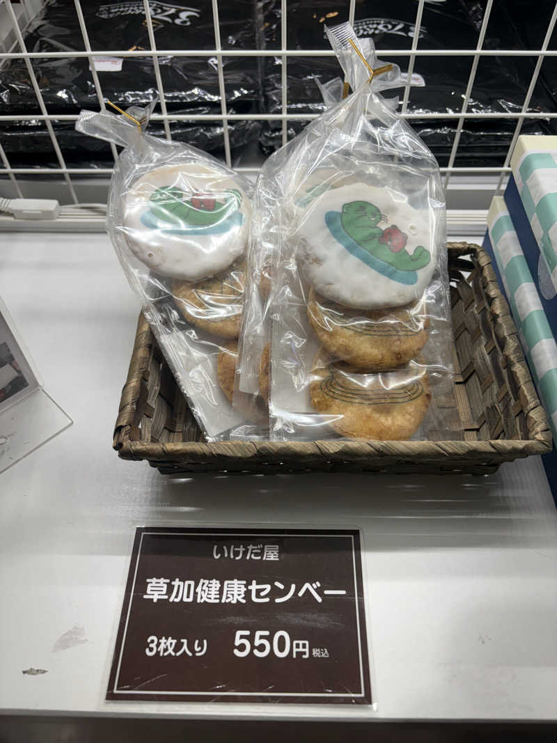 いけだですさんの湯乃泉 草加健康センターのサ活写真