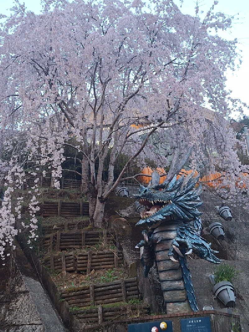 kazusan1091さんのブルーヴィラあなぶきのサ活写真