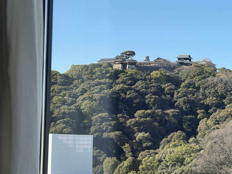 サドウに感謝さんのカンデオホテルズ松山大街道のサ活写真