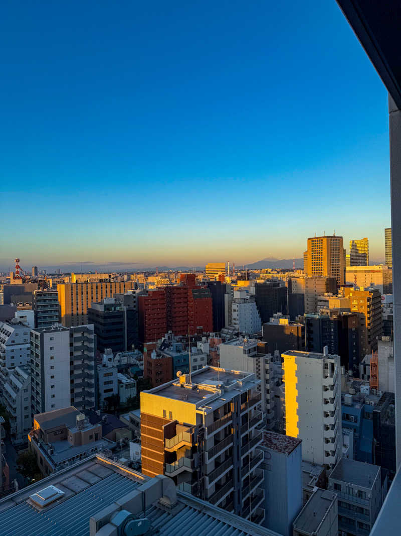 BioluminiJP『ヨロシゲ』さんの天然温泉 扇浜の湯 ドーミーイン川崎のサ活写真