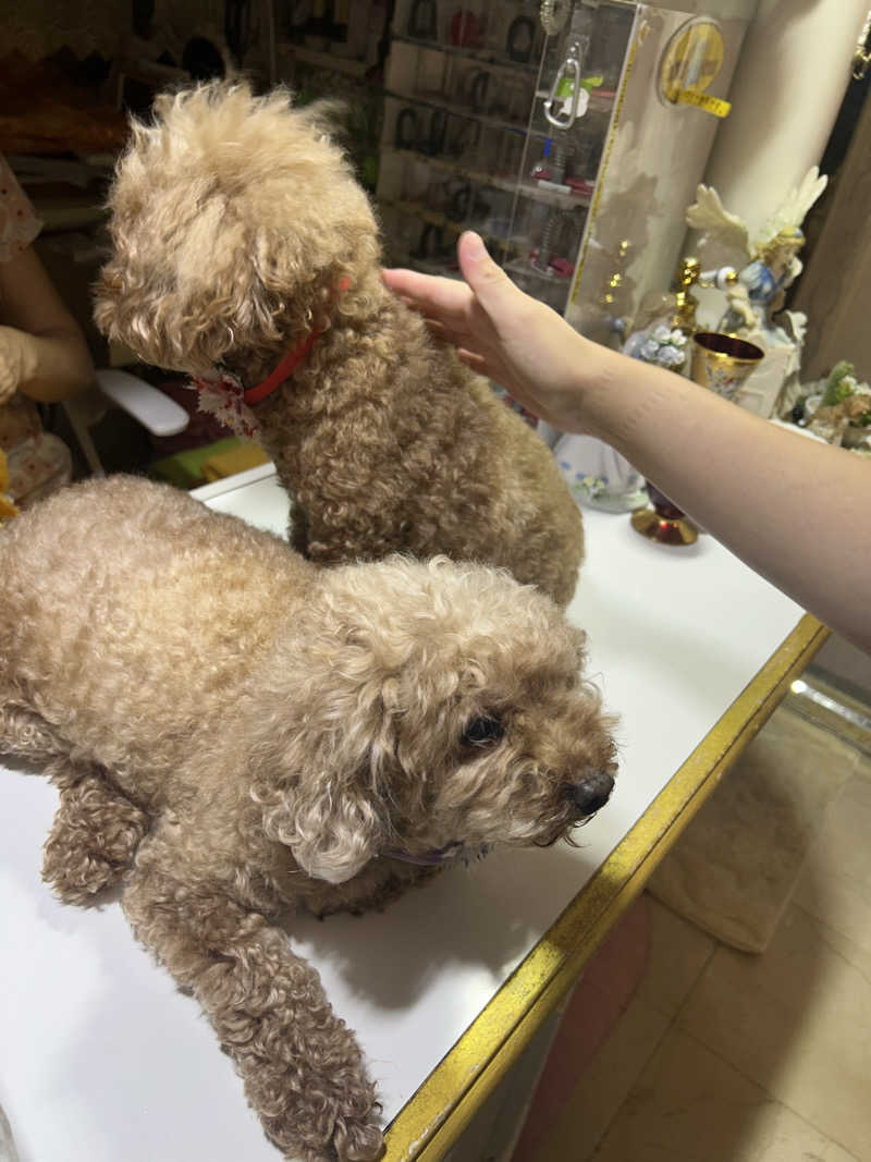 OpMaXさんのクアパレスのサ活写真