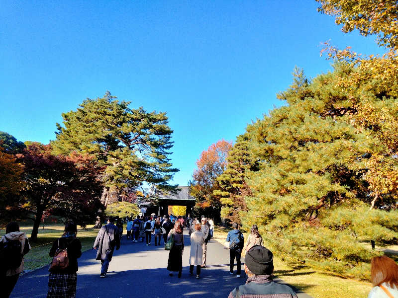 ヒロさんの桜湯(さくら湯)のサ活写真