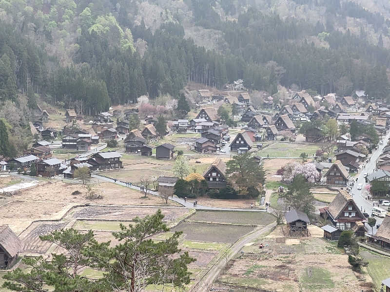 ヒロさんのスパ・アルプスのサ活写真