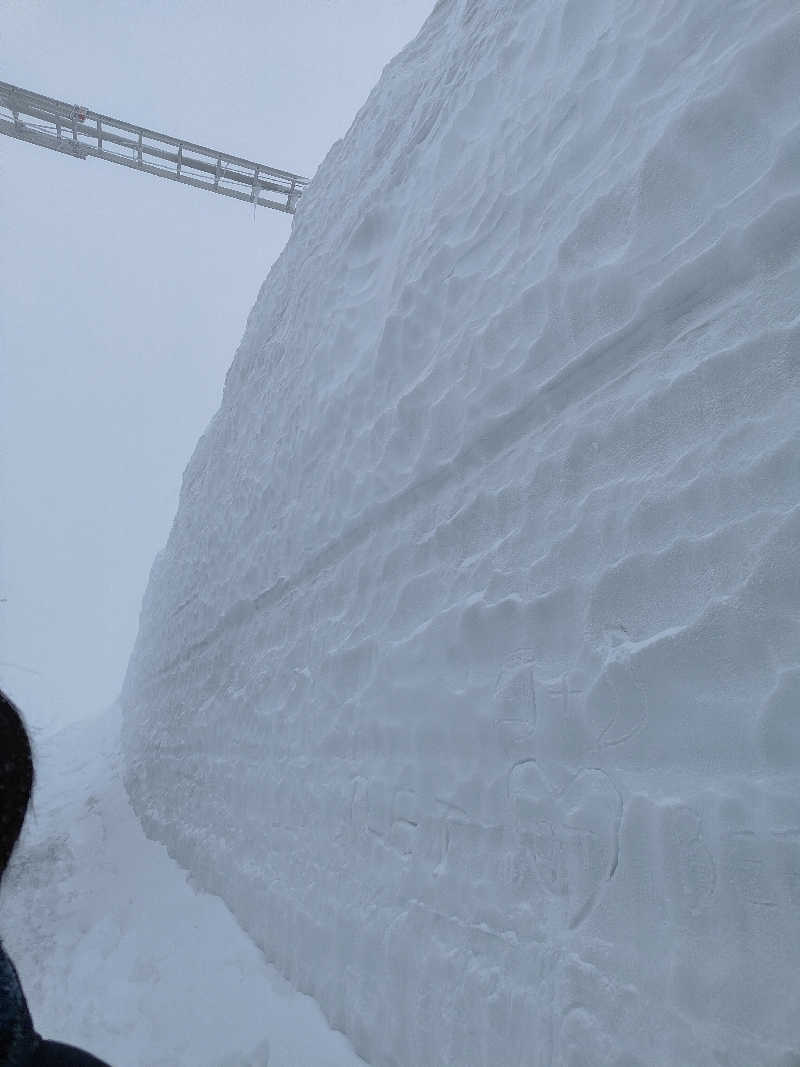 ヒロさんのアパホテル 富山駅前のサ活写真